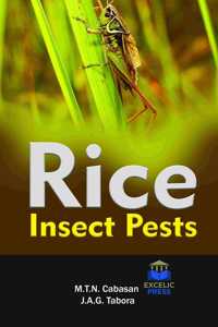 RICE INSECT PESTS