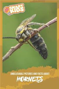 Unbelievable Pictures and Facts About Hornets