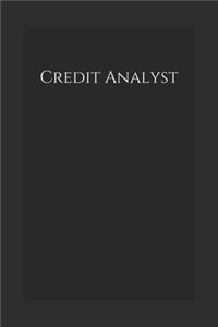 Credit Analyst