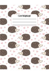 I Love Hedgehogs!