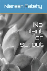 No plant or sprout
