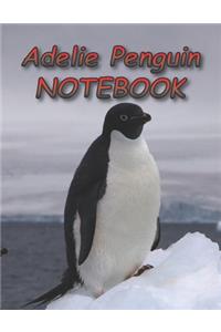 Adelie Penguin NOTEBOOK