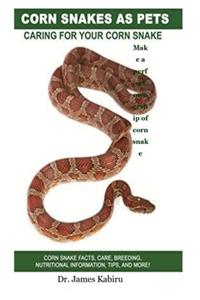 Corn Snake As Pets