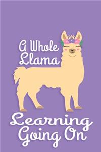 A Whole Llama Learning Going On