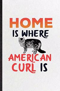 Home Is Where American Curl Is