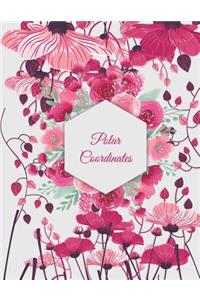 Polar Coordinates