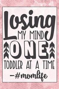 Losing My Mind One Toddler at a Time