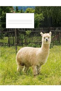 Composition Notebook - 100 Pages