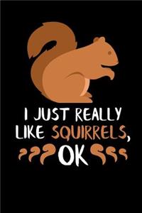 I Just Really Like Squirrels, Ok
