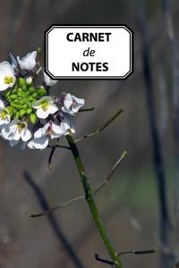 Carnet de Notes