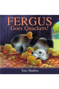 Fergus Goes Quackers