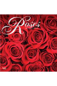 Roses 2021 Square Foil
