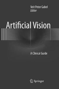 Artificial Vision