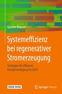 Systemeffizienz Bei Regenerativer Stromerzeugung