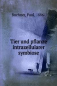 Tier und pflanze intrazellularer symbiose