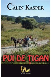 Pui de Tigan