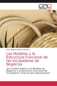 Modelos y la Estructura Funcional de las Incubadoras de Negócios