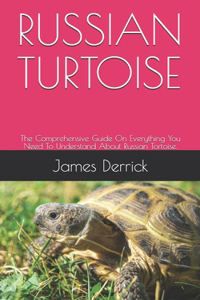 Russian Turtoise: The Comprehensive Guide On Everything You Need To Understand About Russian Tortoise.