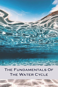 The Fundamentals Of The Water Cycle