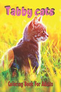 Tabby Cats Coloring Book For Adults