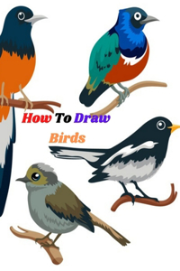 How To Draw Birds