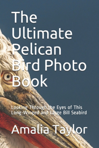 The Ultimate Pelican Bird Photo Book