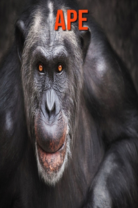 Ape