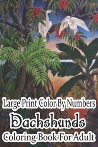 Large Print Color By Numbers Dachshunds Coloring Book For Adult