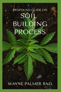 Profound Guide on Soil Building Process