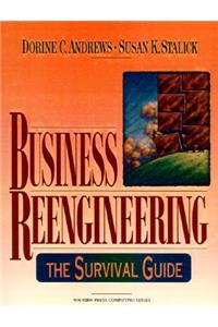 Business Reengineering