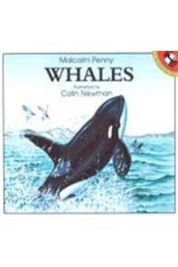 Whales (Picture Puffin Fact Books)