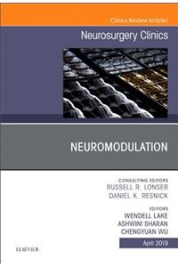 Neuromodulation, an Issue of Neurosurgery Clinics of North America, an Issue of Neurosurgery Clinics of North America