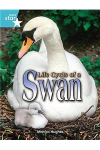 Rigby Star Independent Year 2 Turquoise Non Fiction Life Cycle of a Swan Single