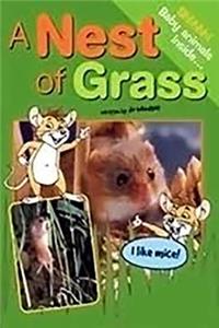 Rus Nests In The Grass