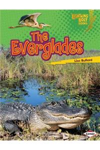 The Everglades