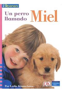 Spanish Iopeners Un Perro Llamado Miel Grade K 2006c