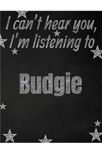 I can't hear you, I'm listening to Budgie creative writing lined notebook