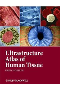 Ultrastructure Atlas of Human Tissues