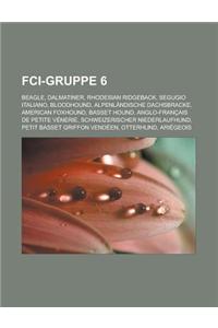 Fci-Gruppe 6