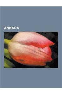 Ankara: Buildings and Structures in Ankara, Culture in Ankara, Economy of Ankara, Education in Ankara, Geography of Ankara, Hi