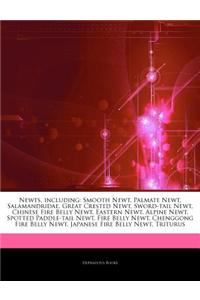 Articles on Newts, Including: Smooth Newt, Palmate Newt, Salamandridae, Great Crested Newt, Sword-Tail Newt, Chinese Fire Belly Newt, Eastern Newt,