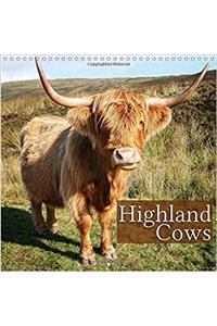 Highland Cows 2017