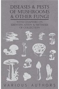 Diseases and Pests of Mushrooms and Other Fungi - With Chapters on Disease, Insects, Sanitation and Pest Control