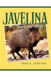 Javelina