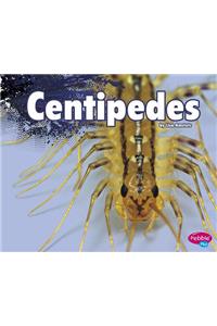 Centipedes