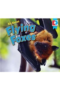 All about Flying Foxes