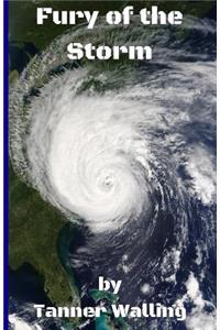 Fury of the Storm