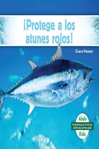 ¡Protege a Los Atunes Rojos!/ Help the Bluefin Tuna