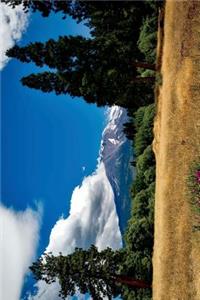 Mount Shasta Volcano in California Journal