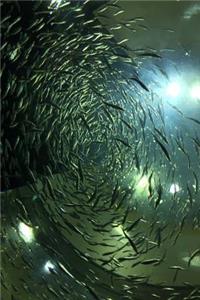 A School of Fish in an Aquarium Marine Life Journal